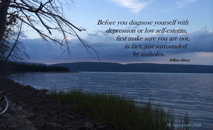 william_gibson_quote